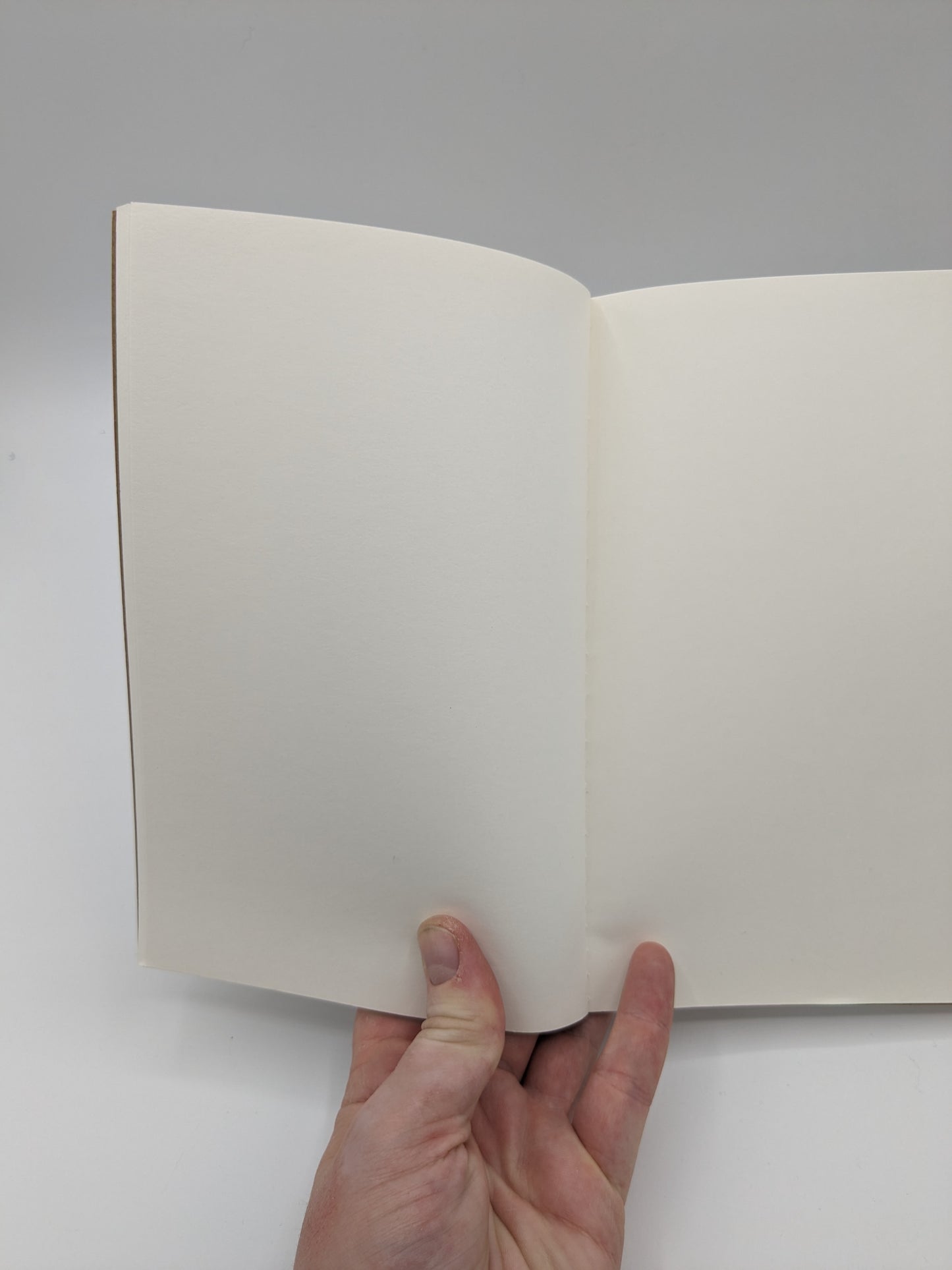 Journal